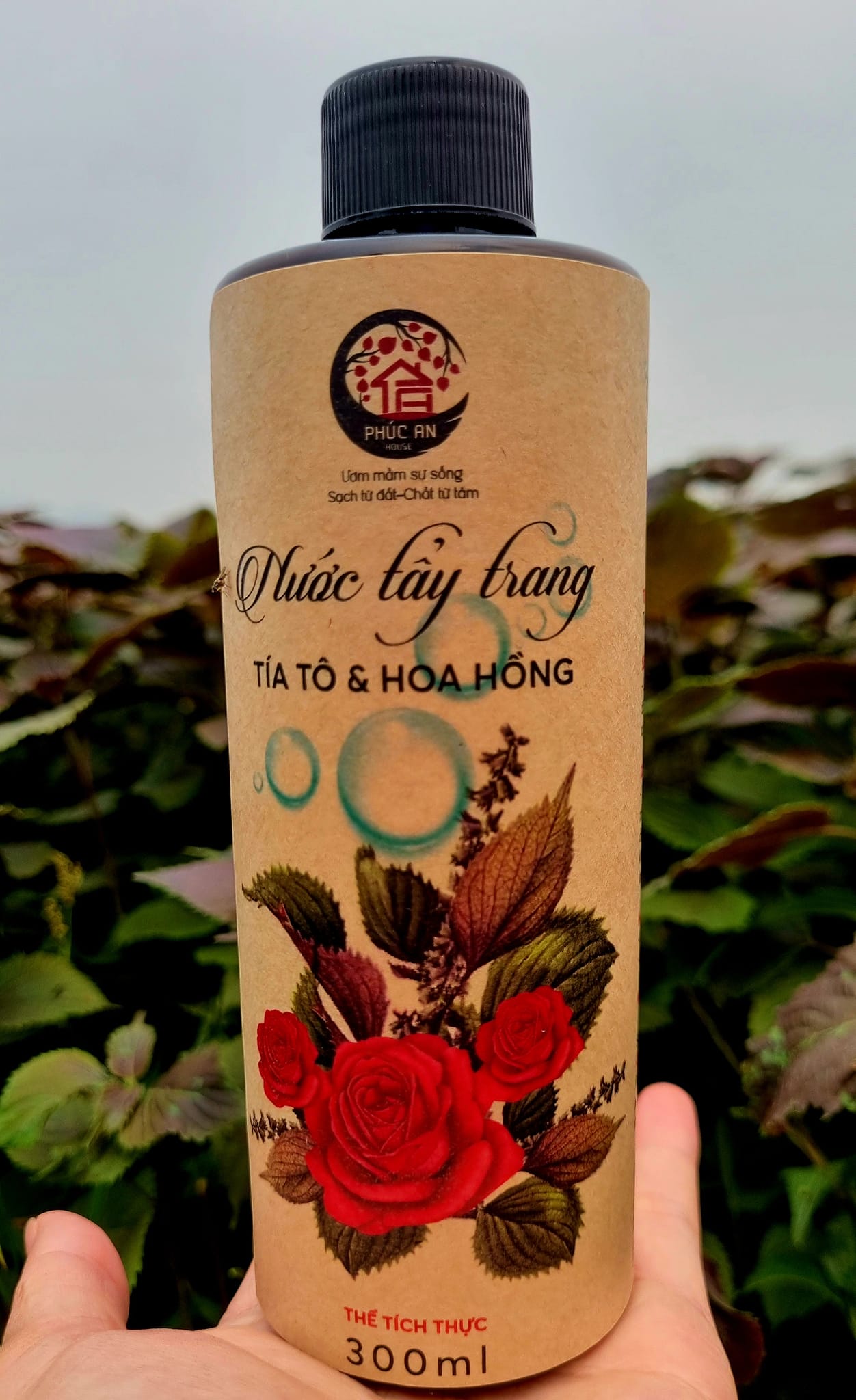 474166150_1635898500666677_6236608917946663270_n