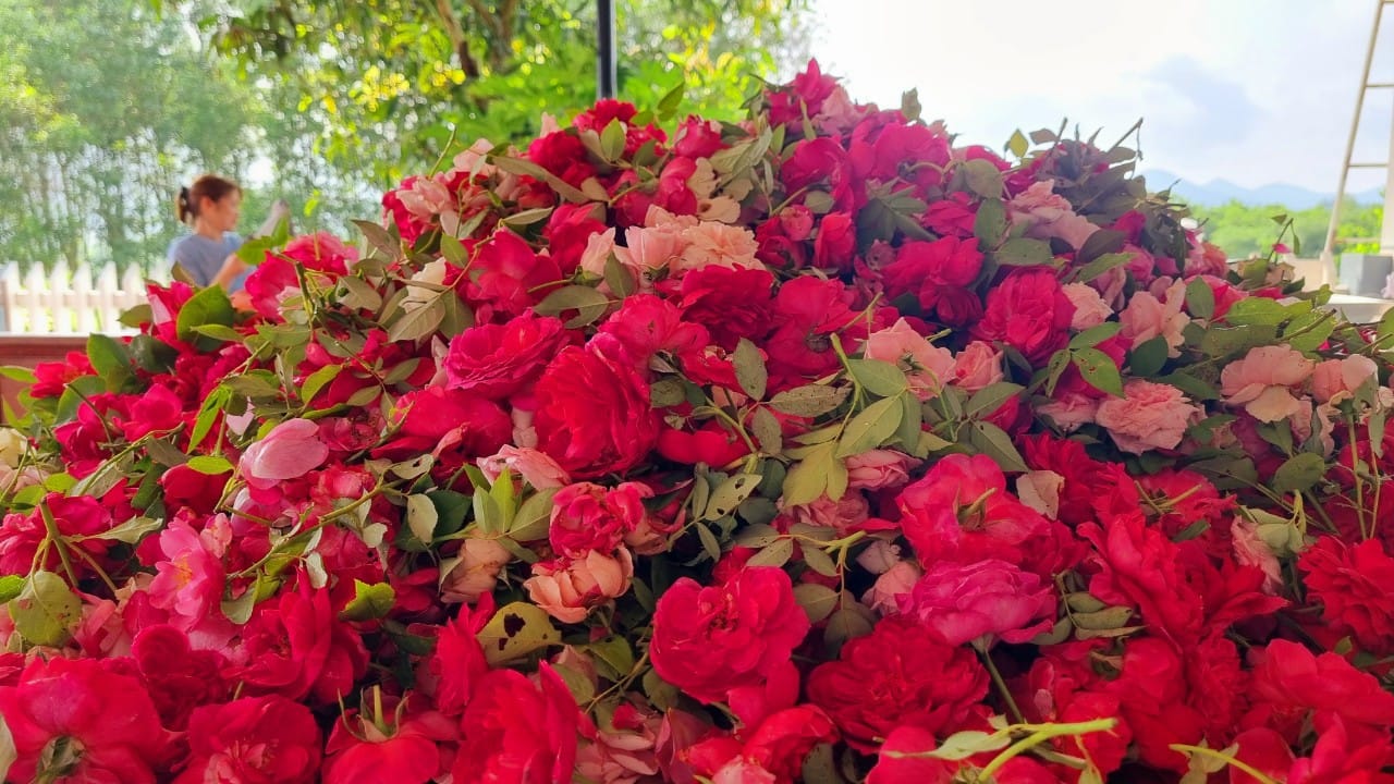 474903481_1639953986927795_1415614171675692255_n