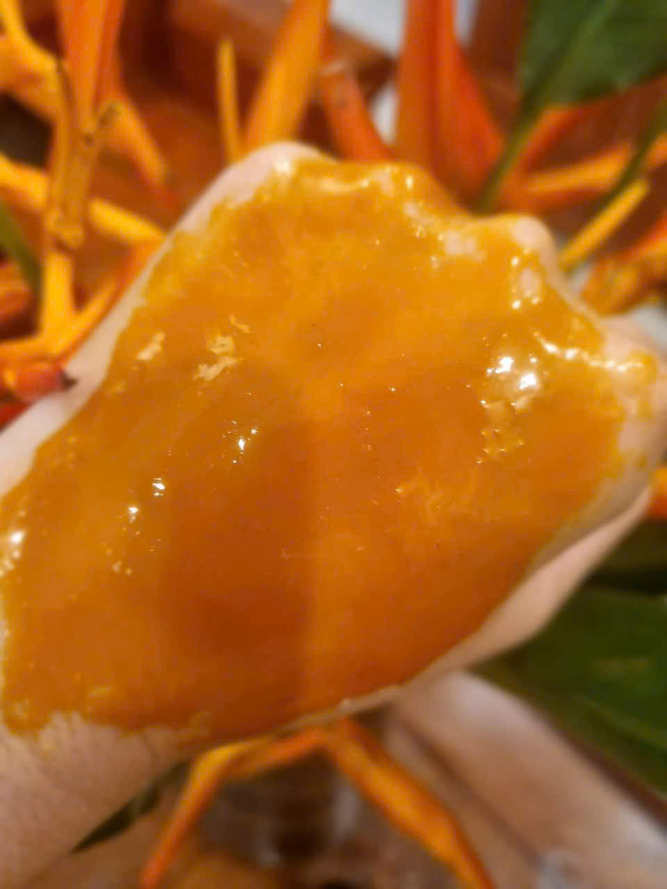 fe2e56da301d8b43d20c